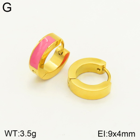 2E3002333aaim-689  Stainless Steel Earrings