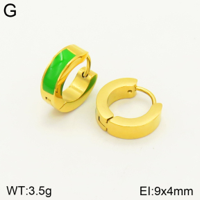 2E3002334aaim-689  Stainless Steel Earrings