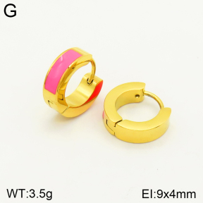 2E3002335aaim-689  Stainless Steel Earrings