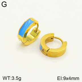 2E3002336aaim-689  Stainless Steel Earrings