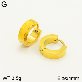 2E3002337aaim-689  Stainless Steel Earrings