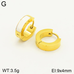 2E3002338aaim-689  Stainless Steel Earrings