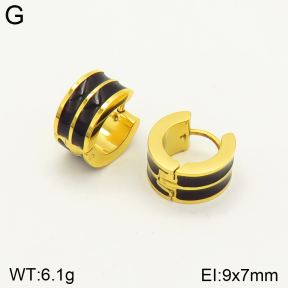 2E3002339aajm-689  Stainless Steel Earrings