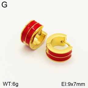 2E3002343aajm-689  Stainless Steel Earrings