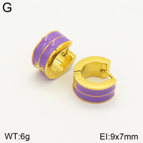 2E3002344aajm-689  Stainless Steel Earrings