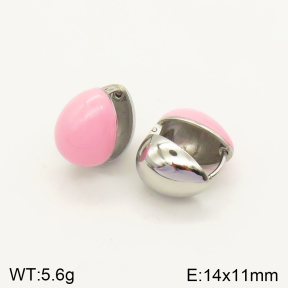 2E3002345bblo-689  Stainless Steel Earrings