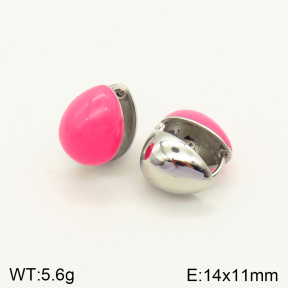 2E3002346bblo-689  Stainless Steel Earrings