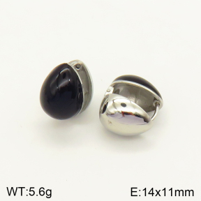 2E3002347bblo-689  Stainless Steel Earrings