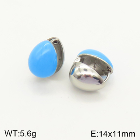 2E3002349bblo-689  Stainless Steel Earrings