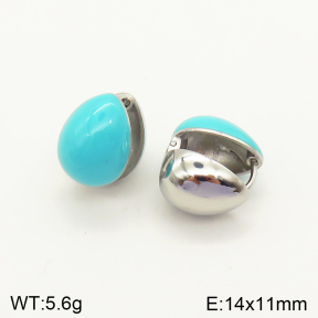 2E3002350bblo-689  Stainless Steel Earrings