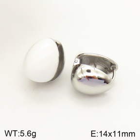 2E3002351bblo-689  Stainless Steel Earrings