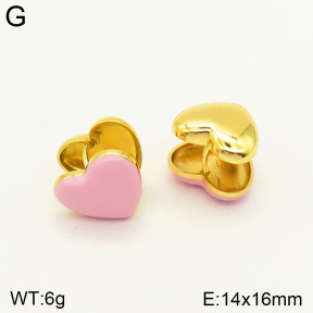 2E3002357bblo-689  Stainless Steel Earrings