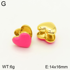 2E3002359bblo-689  Stainless Steel Earrings