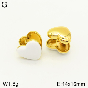 2E3002363bblo-689  Stainless Steel Earrings