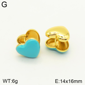 2E3002364bblo-689  Stainless Steel Earrings