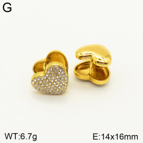 2E4003508bbmo-689  Stainless Steel Earrings