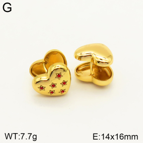 2E4003509ablb-689  Stainless Steel Earrings