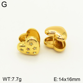 2E4003510ablb-689  Stainless Steel Earrings