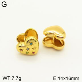 2E4003511ablb-689  Stainless Steel Earrings