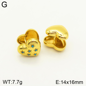 2E4003512ablb-689  Stainless Steel Earrings