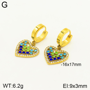 2E4003515bblo-689  Stainless Steel Earrings