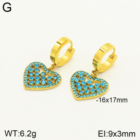 2E4003516bblo-689  Stainless Steel Earrings