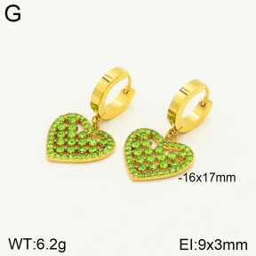 2E4003517bblo-689  Stainless Steel Earrings