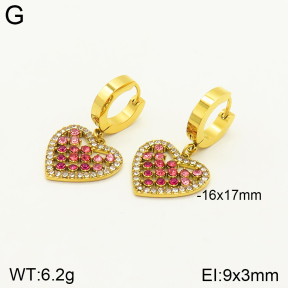 2E4003518bblo-689  Stainless Steel Earrings