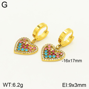 2E4003519bblo-689  Stainless Steel Earrings