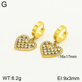 2E4003520bblo-689  Stainless Steel Earrings