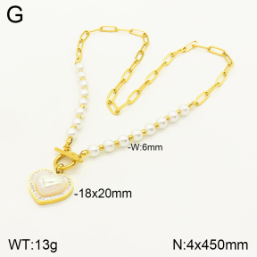 2N3001706bhia-669  Stainless Steel Necklace