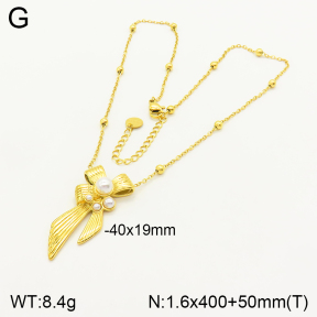 2N3001710vbpb-669  Stainless Steel Necklace