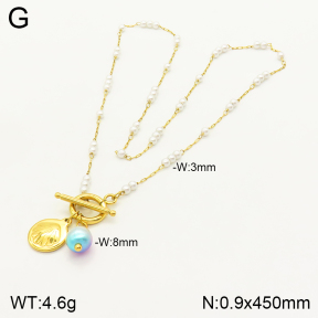 2N3001711bhva-669  Stainless Steel Necklace