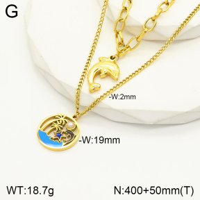 2N3001712vhhl-669  Stainless Steel Necklace