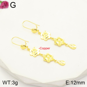 F2E201172vbll-J109  Fashion Copper Earrings