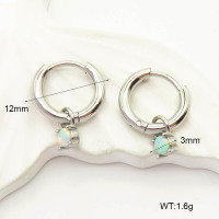 6E4004261bhii-G034  SS 316  Synthetic Opal ,Handmade Polished  Stainless Steel Earrings