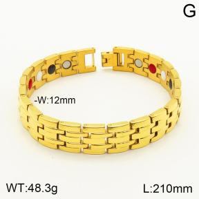 2B9000042vina-763  Stainless Steel Bracelet