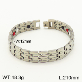 2B9000043biib-763  Stainless Steel Bracelet