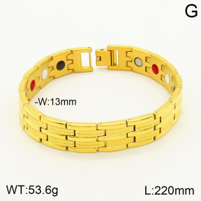 2B9000048vina-763  Stainless Steel Bracelet