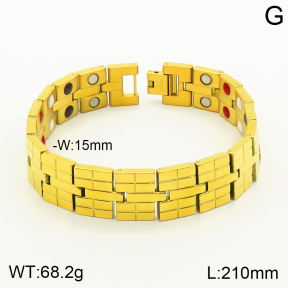 2B9000055vina-763  Stainless Steel Bracelet