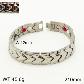 2B9000071biib-763  Stainless Steel Bracelet