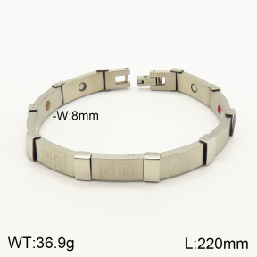 2B9000085biib-763  Stainless Steel Bracelet