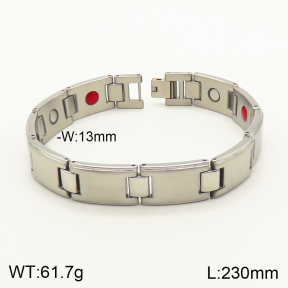 2B9000087biib-763  Stainless Steel Bracelet