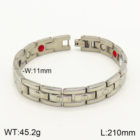 2B9000088biib-763  Stainless Steel Bracelet