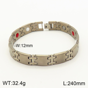 2B9000094vina-763  Titanium  Stainless Steel Bracelet