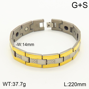 2B9000096aiov-763  Titanium  Stainless Steel Bracelet