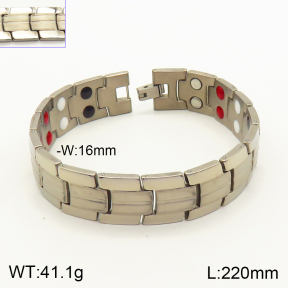 2B9000099bika-763  Titanium  Stainless Steel Bracelet