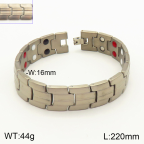 2B9000100bika-763  Titanium  Stainless Steel Bracelet