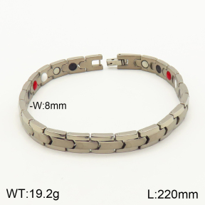 2B9000101biib-763  Titanium  Stainless Steel Bracelet