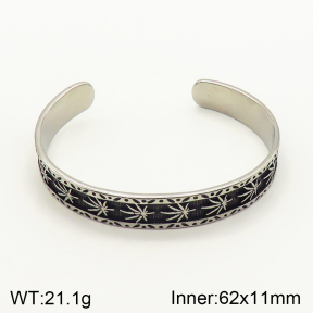 2BA201241aivb-764  Stainless Steel Bangle